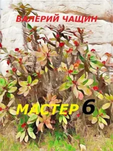 «Мастер 6» Валерий Чащин