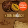 «Karmacoach» Алексей Ситников