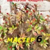 «Мастер 6» Валерий Чащин