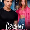 «Сводная проблема» Дана Алексеева